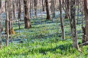 945648_10201124456378824_1607828041_n