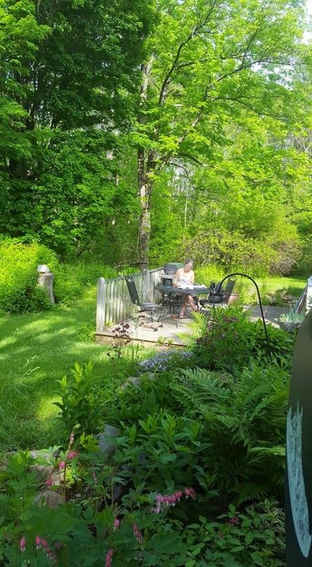 at work in the backyard.jpg