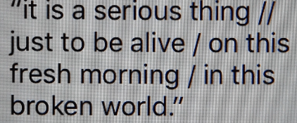 Screen Shot 2016-11-10 at 7.29.38 PM.png
