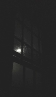 moonlight1.jpg