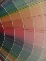 56157671_2292250211056165_7153227001665421312_n