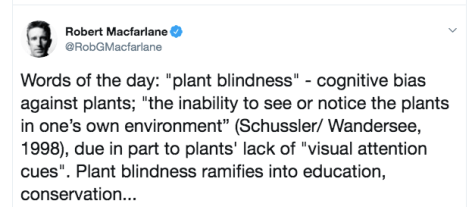 Screen Shot 2019-07-18 at 6.42.54 AM.png