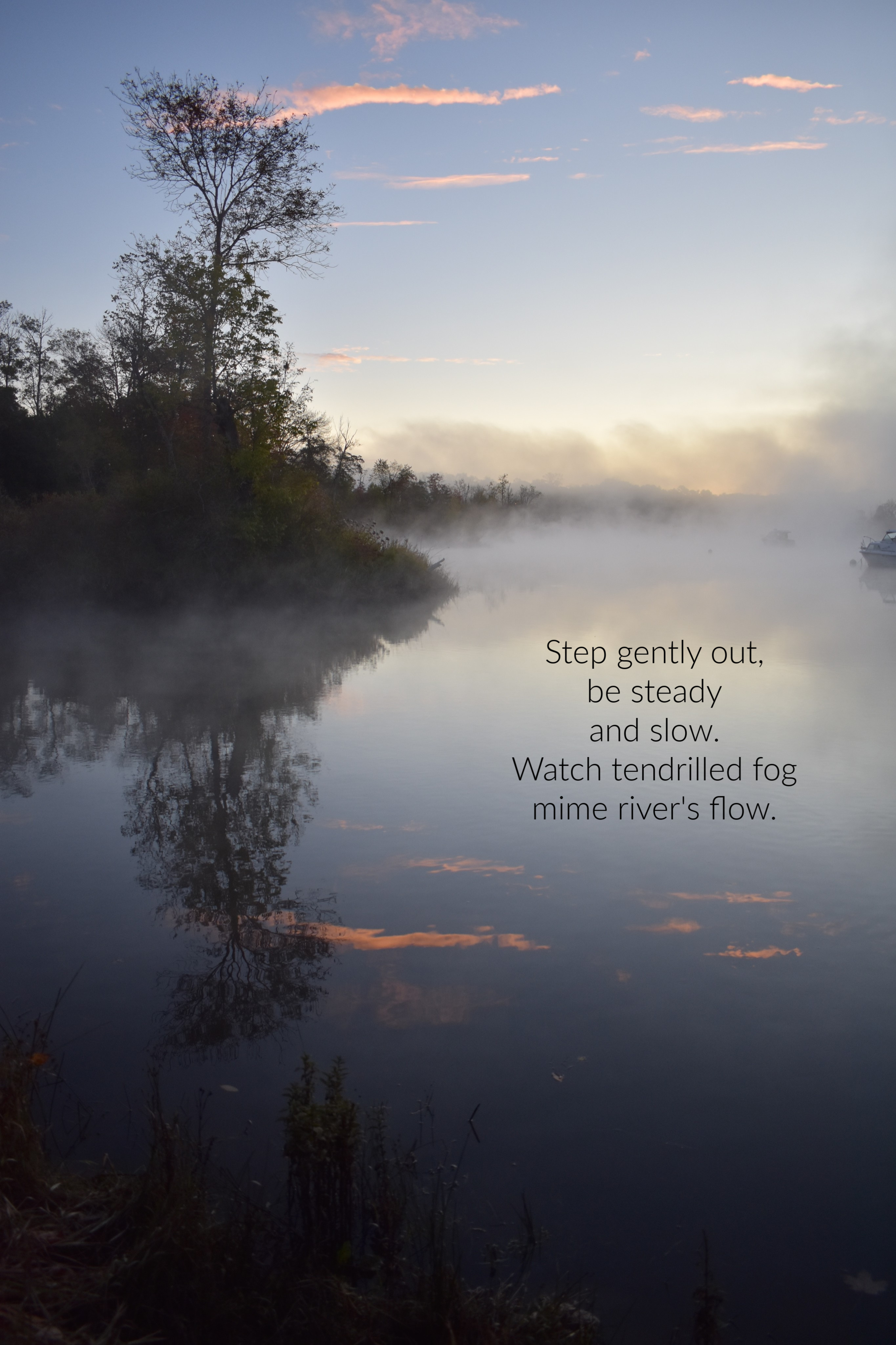 foggy start (1)