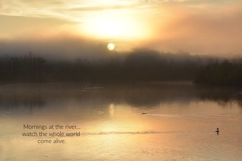 whole world come alive