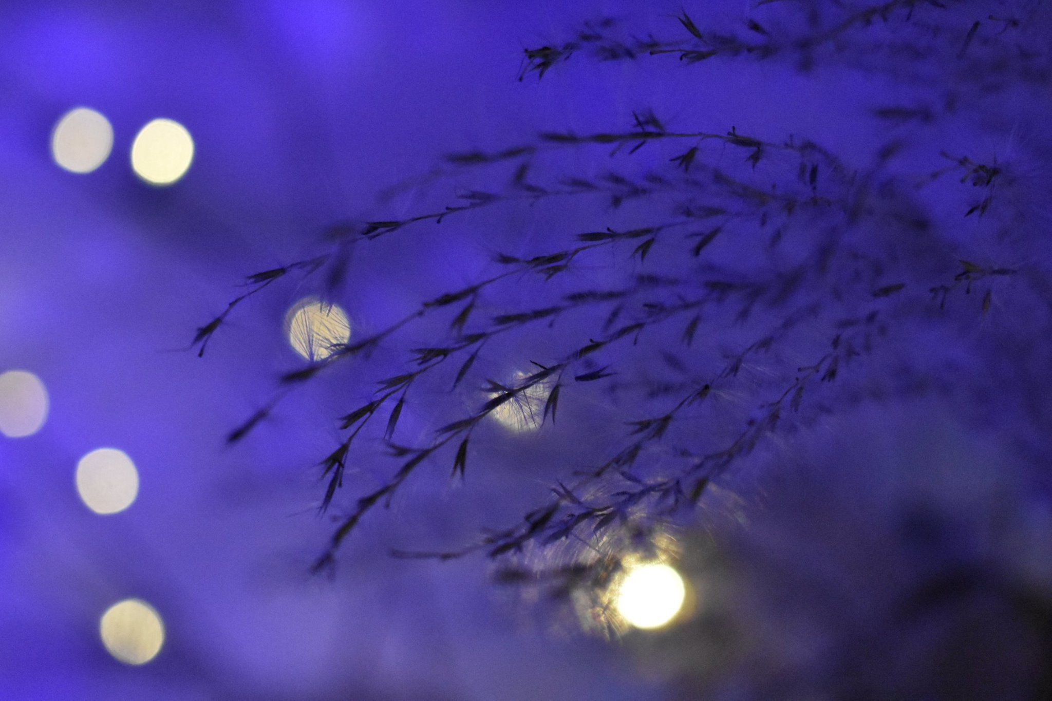 46713628_10217058094829827_1972840545348747264_o