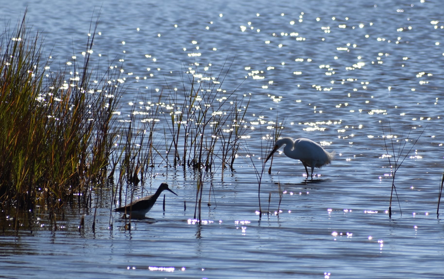 72040553_10219464197580892_8071909970725044224_o