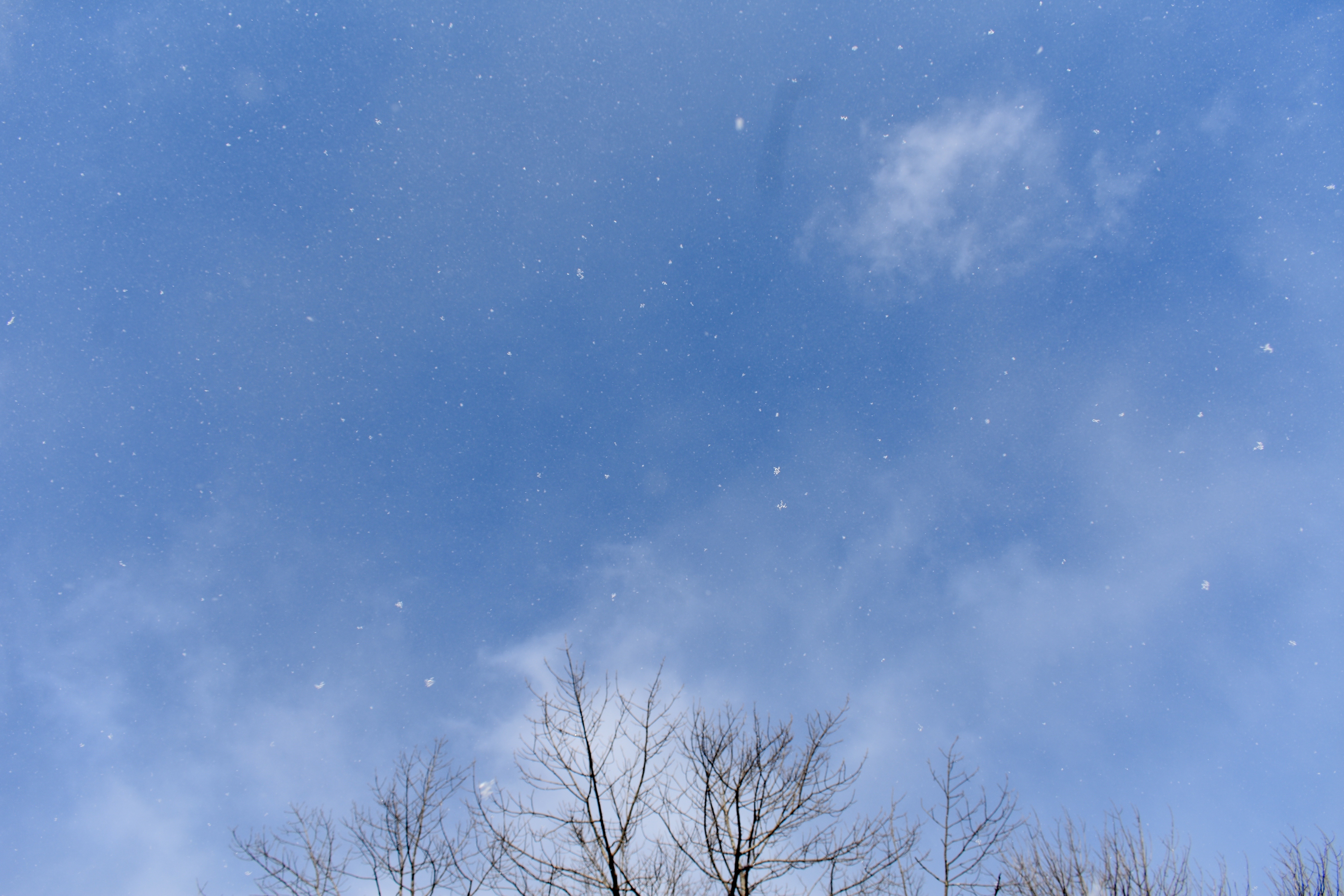 DSC_0601.jpg