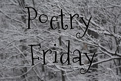 Poetry Friday--snow