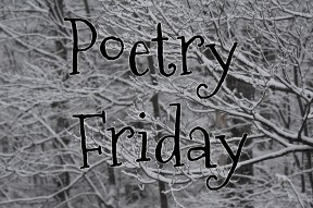 Poetry Friday--snow