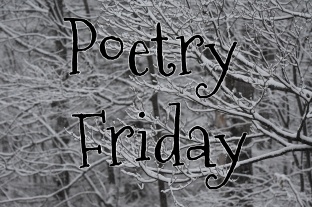 Poetry Friday--snow.jpg