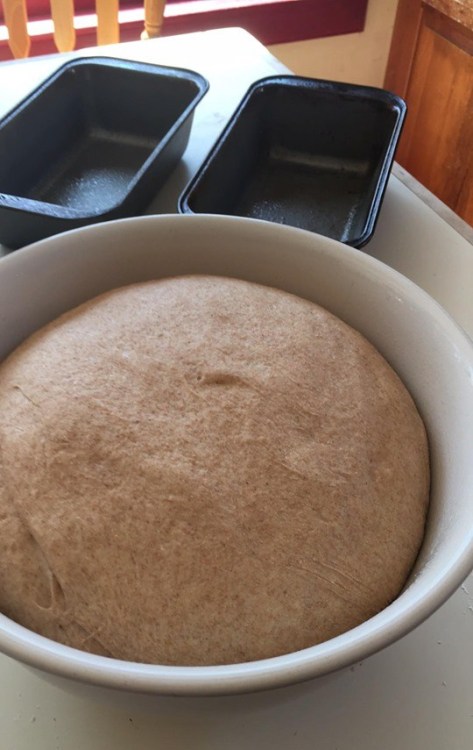 91043915_202865647640695_7625727082726686720_n