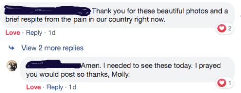 Screen Shot 2020-06-02 at 6.00.25 AM