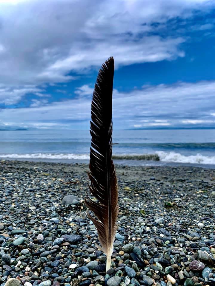 feather-at-sea-by-joanne-duncan.jpg