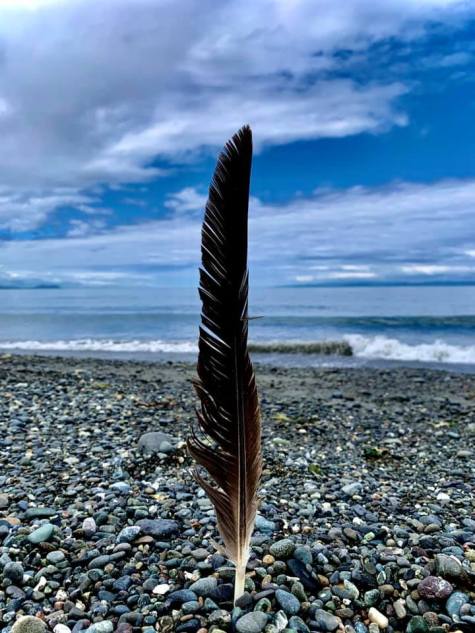 feather-at-sea-by-joanne-duncan.jpg