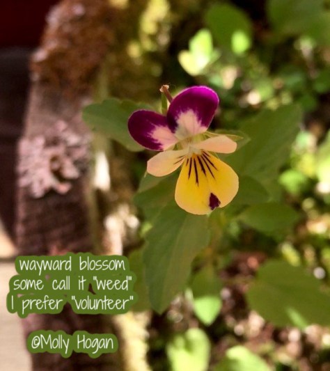 117058819_3368268756558026_4106333740900173312_n (1) copy.jpg