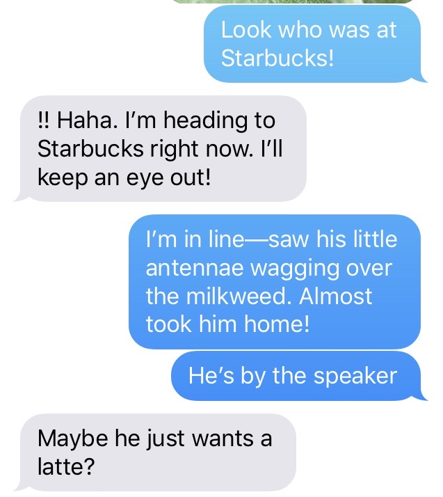 117258668_918255185435857_2844003332698142651_n 2.jpeg