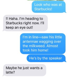 117258668_918255185435857_2844003332698142651_n 2.jpeg