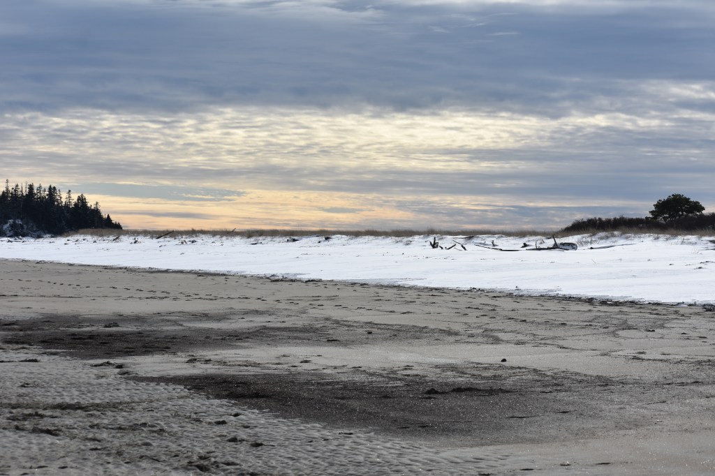 This image has an empty alt attribute; its file name is dsc_0958.jpeg